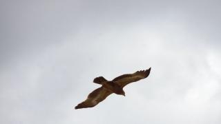 2 Tage/1 Nacht Tsavo Ost & Taita Hills Privatsafari