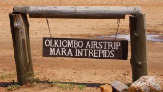 3 Tage/2 Nächte Masai Mara Intrepids Safari