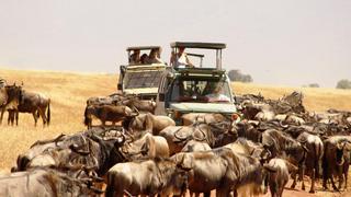 16-Tage/15-Nächte Rundreise Kenia und Tansania