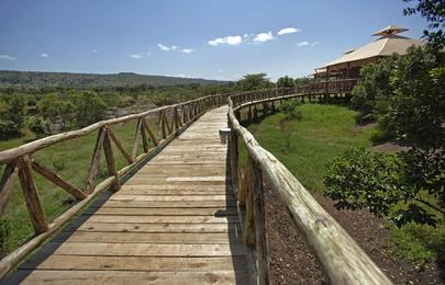 3 Tage Masai Mara Flugsafari mit Mara Rianta Luxus Camp