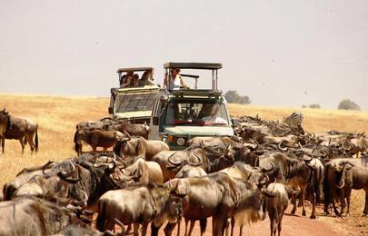 16 Tage und 15 Nächte Kenia und Tansania Safari Rundreise