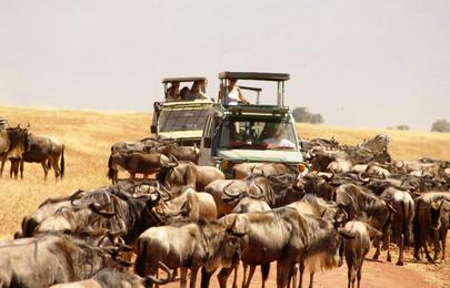 16 Tage und 15 Nächte Kenia und Tansania Safari Rundreise