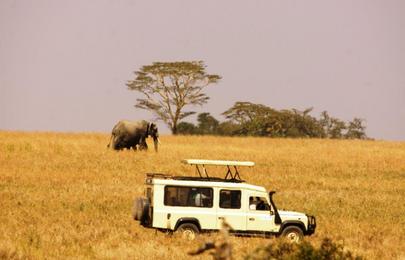 16 Tage und 15 Nächte Kenia und Tansania Safari Rundreise