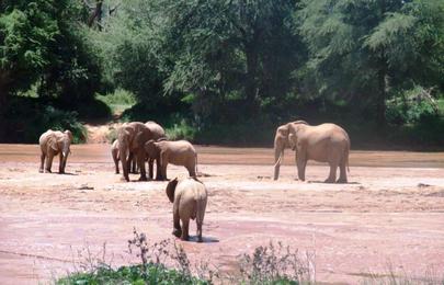16 Tage und 15 Nächte Kenia und Tansania Safari Rundreise