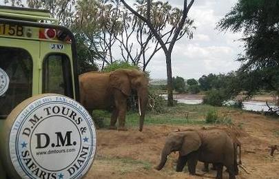 13 Tage Kenia Safari Rundreise (Privat) durch 8 Reservate